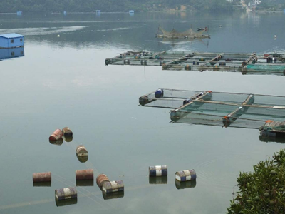 深圳水質(zhì)檢測 深圳水質(zhì)檢測