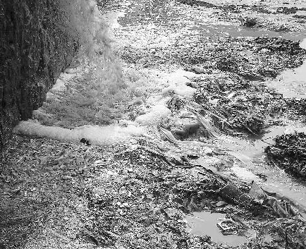 水質(zhì)檢測機構 水質(zhì)檢測機構