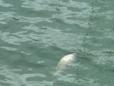 深圳水質(zhì)檢測 深圳水質(zhì)檢測