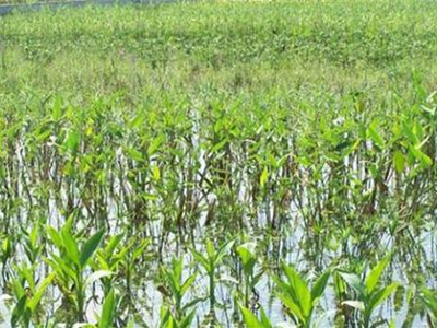 深圳水質(zhì)檢測機(jī)構(gòu) 深圳水質(zhì)檢測機(jī)構(gòu)