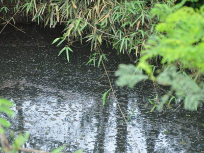 第三方水質(zhì)檢測(cè)公司 第三方水質(zhì)檢測(cè)公司