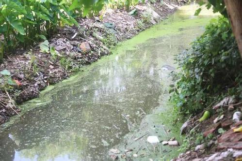 深圳水質(zhì)檢測(cè) 深圳水質(zhì)檢測(cè)